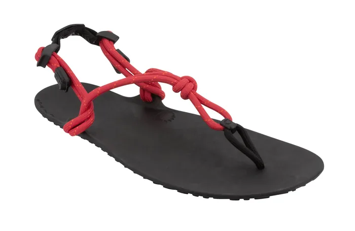 Genesis Sandal - Men (Clearance) - Image 3