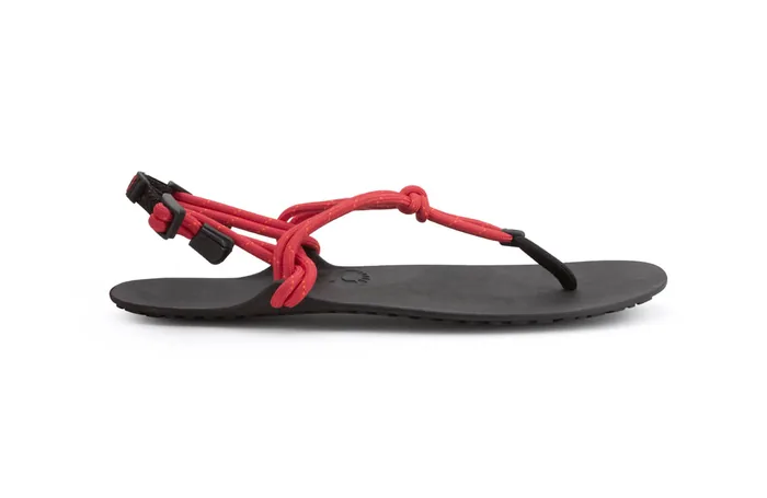 Genesis Sandal - Men (Clearance) - Image 4